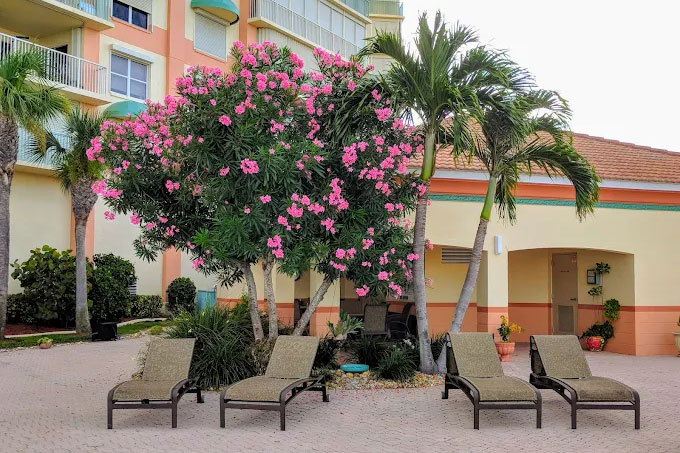 Oleander Pointe- A Private Waterfront Community And Yacht Club in Cocoa, Florida