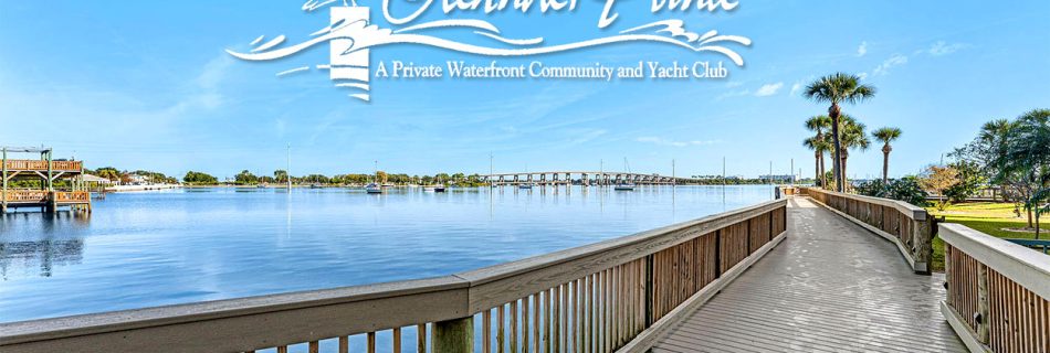 So Much to Be Thankful For