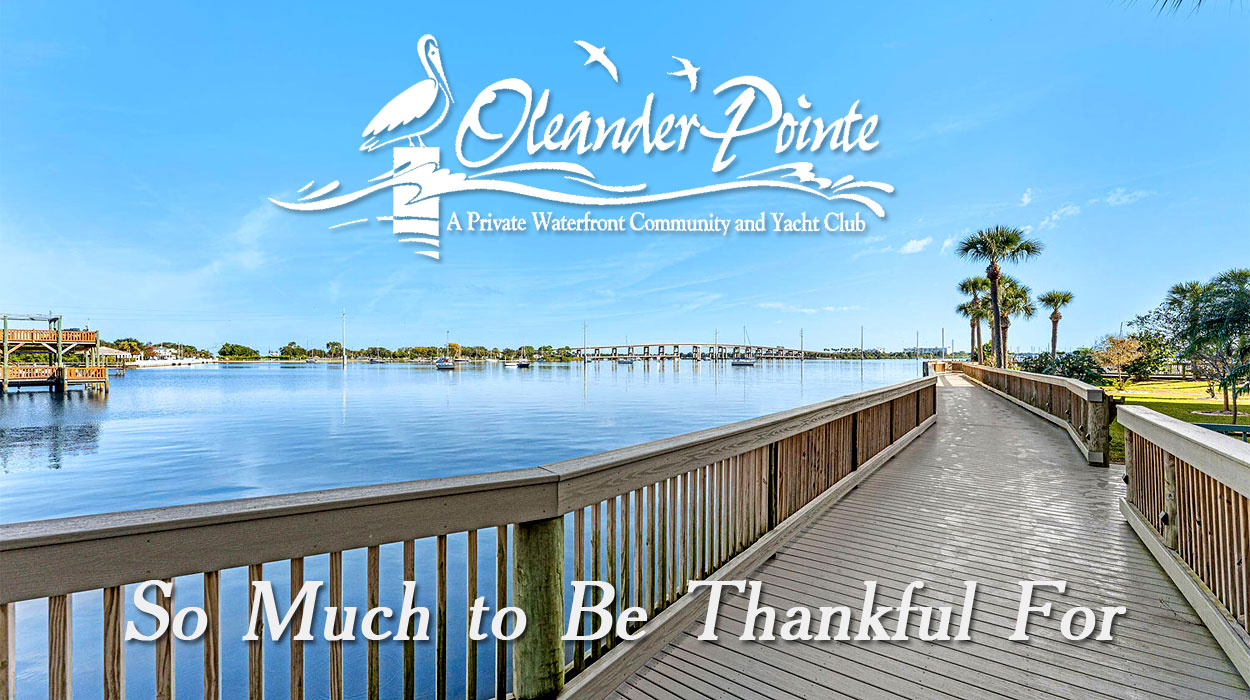 So Much to Be Thankful For